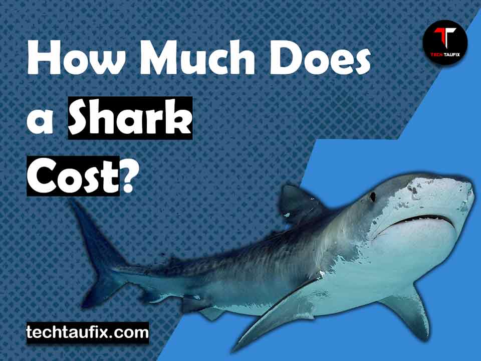 How Much Does a Shark Cost Tech Taufix